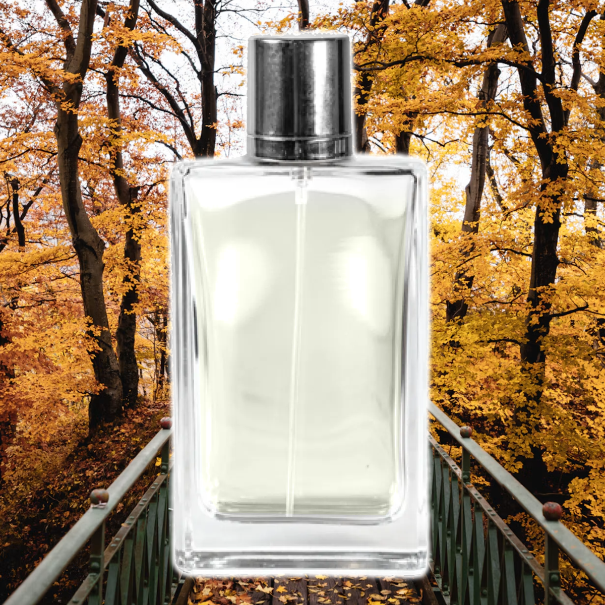 Autumn Cloak