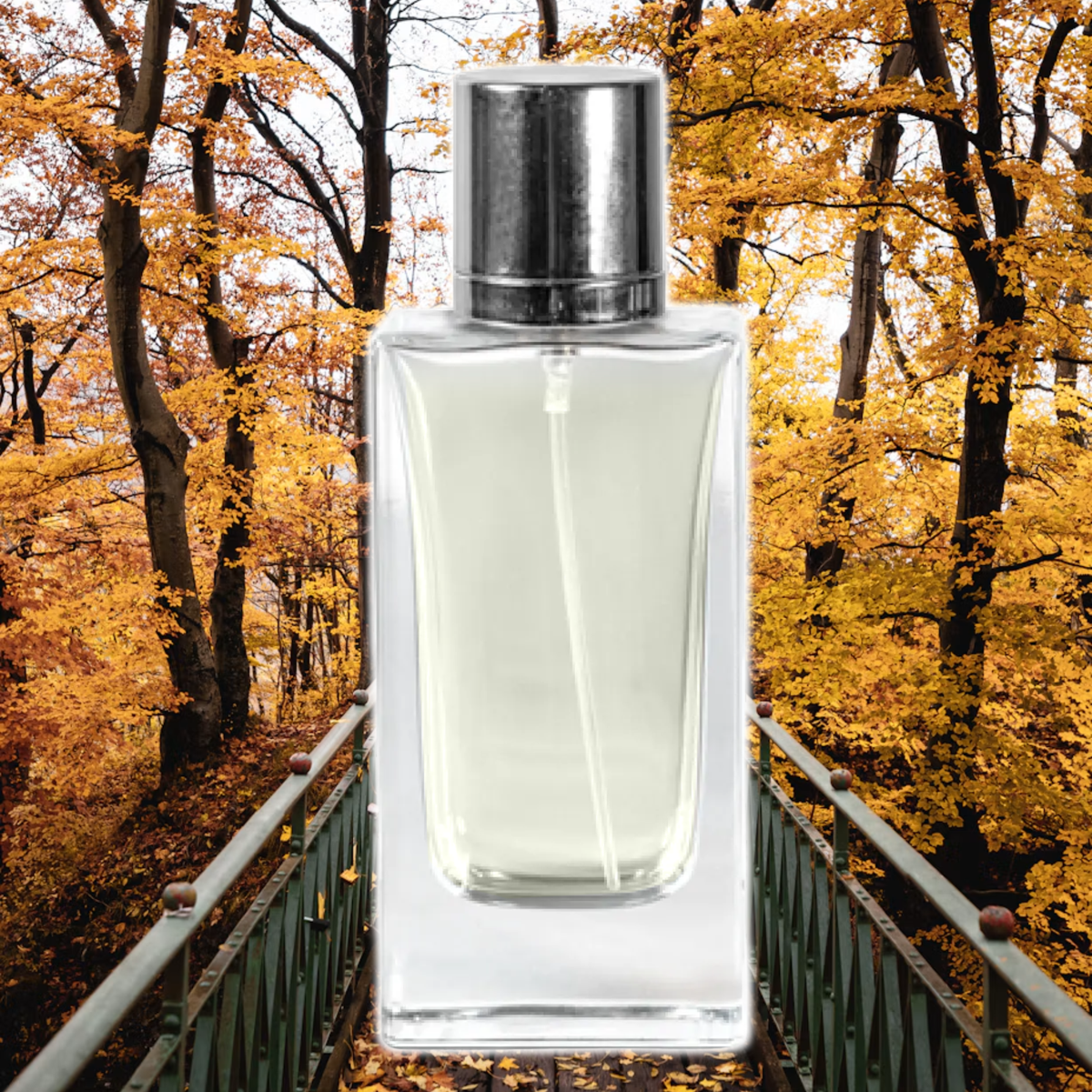 Autumn Cloak