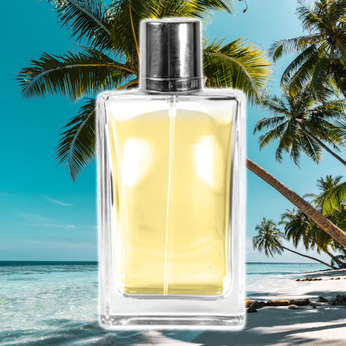 Coco Mango