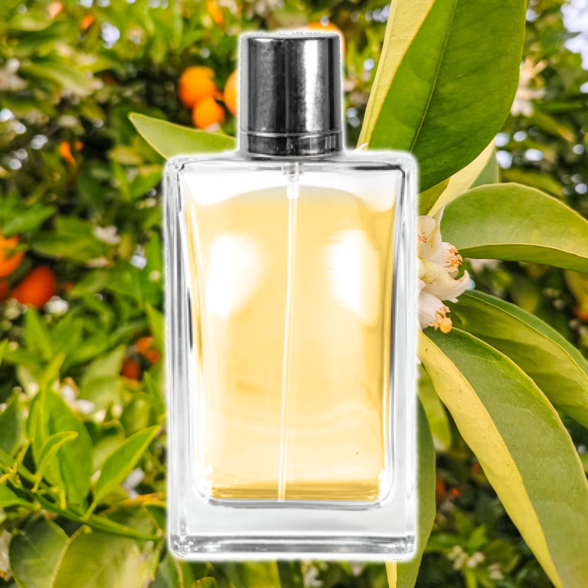 Silken Neroli