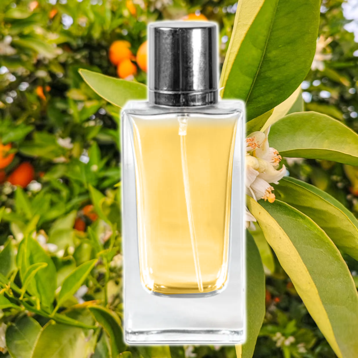 Silken Neroli