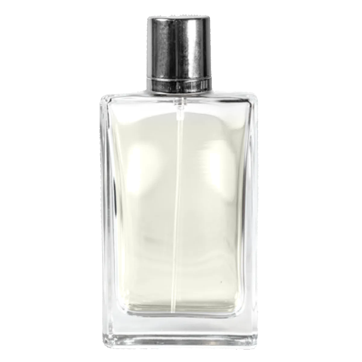 White Rose Blossom